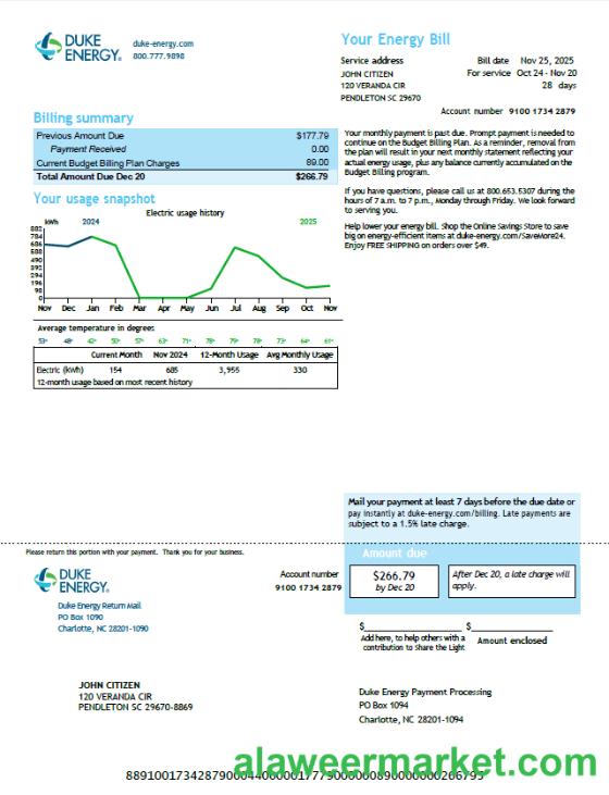 USA Duke Energy utility bill template in Word and PDF formats, version 6